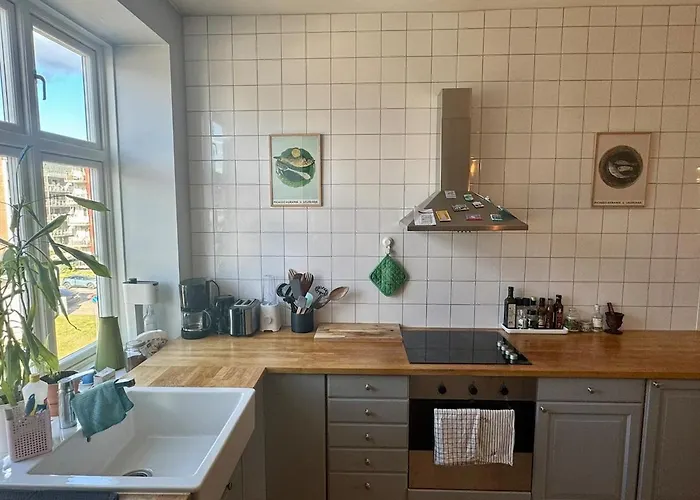 Daire Peaceful Spot In The Centre - Light And Cozy Oslo